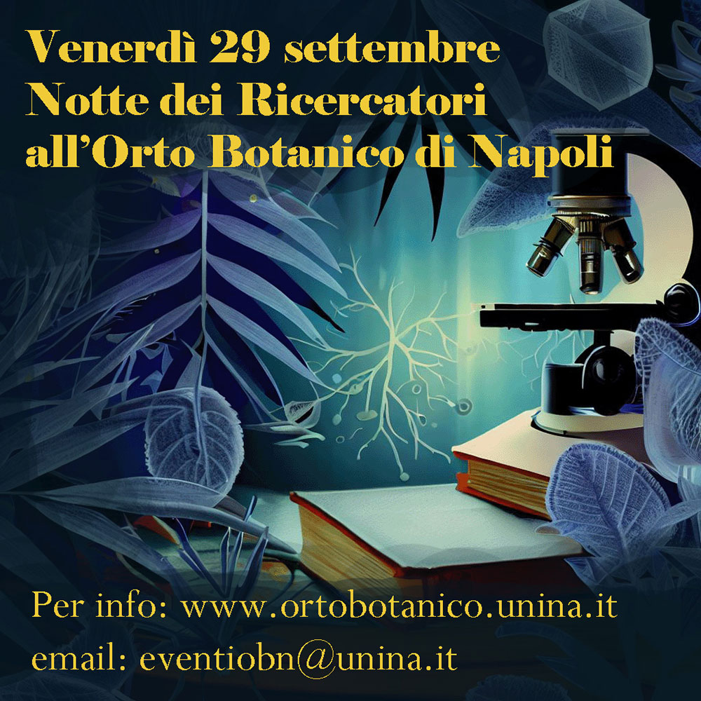 2023 09 29 notte ricerca orto