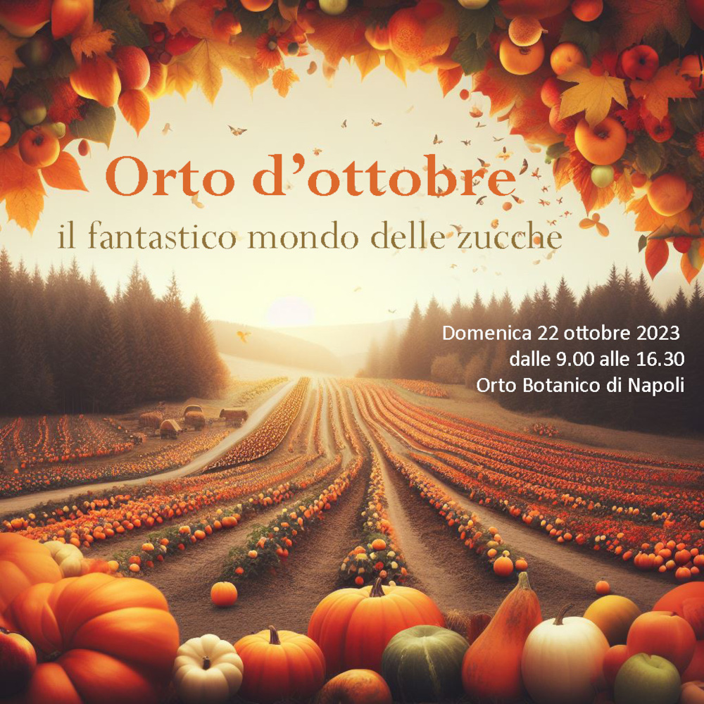 2023 10 22 Orto d ottobre