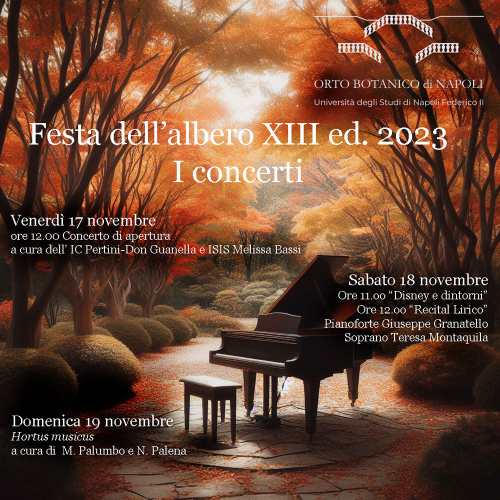 2023 11 Festa dell albero 2023 Concerti