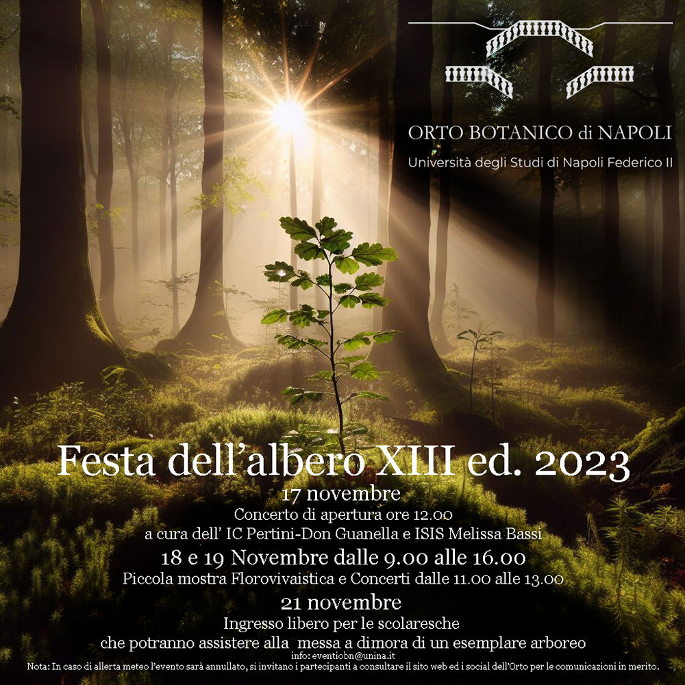 2023 11 Festa dell albero 2023