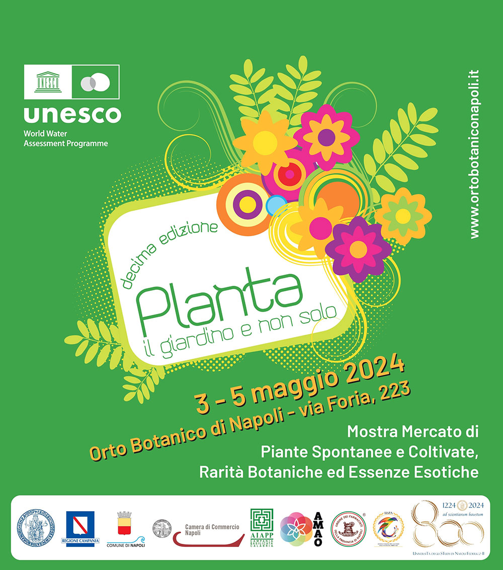 2024 05 Planta2024