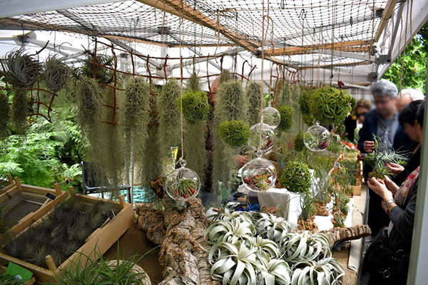 2025 05 2 4 Planta 1
