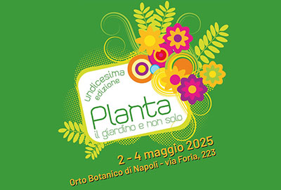 XI edizione di 