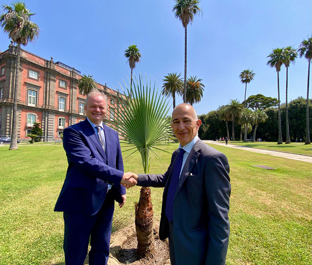 2025 06 19 Palma a Capodimonte1