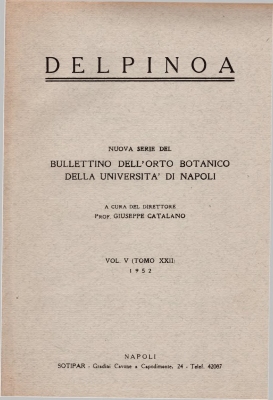 Delpinoa, V 1952