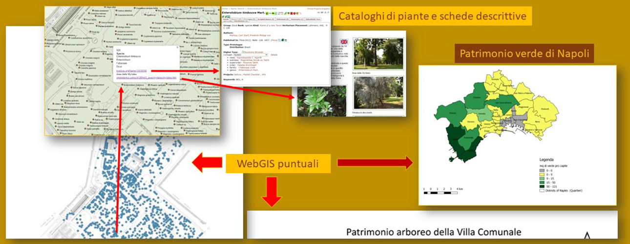 Le piante e il territorio