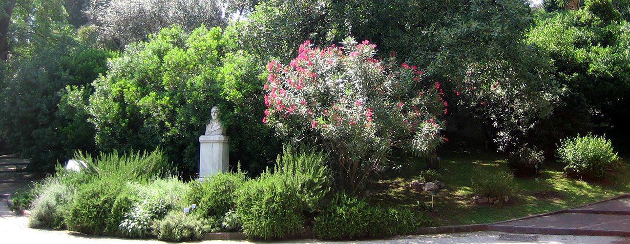 L’area della macchia mediterranea è immediatamente alle spalle della statua di Domenico Cirillo, grande botanico, medico e patriota napoletano.