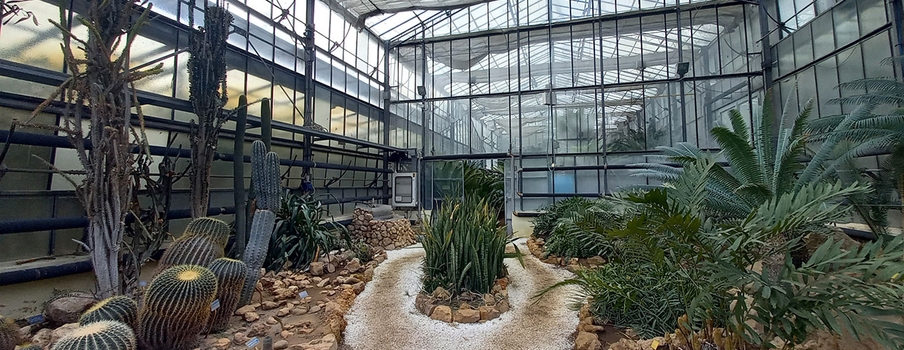 Entrance to the Califano Greenhouses.