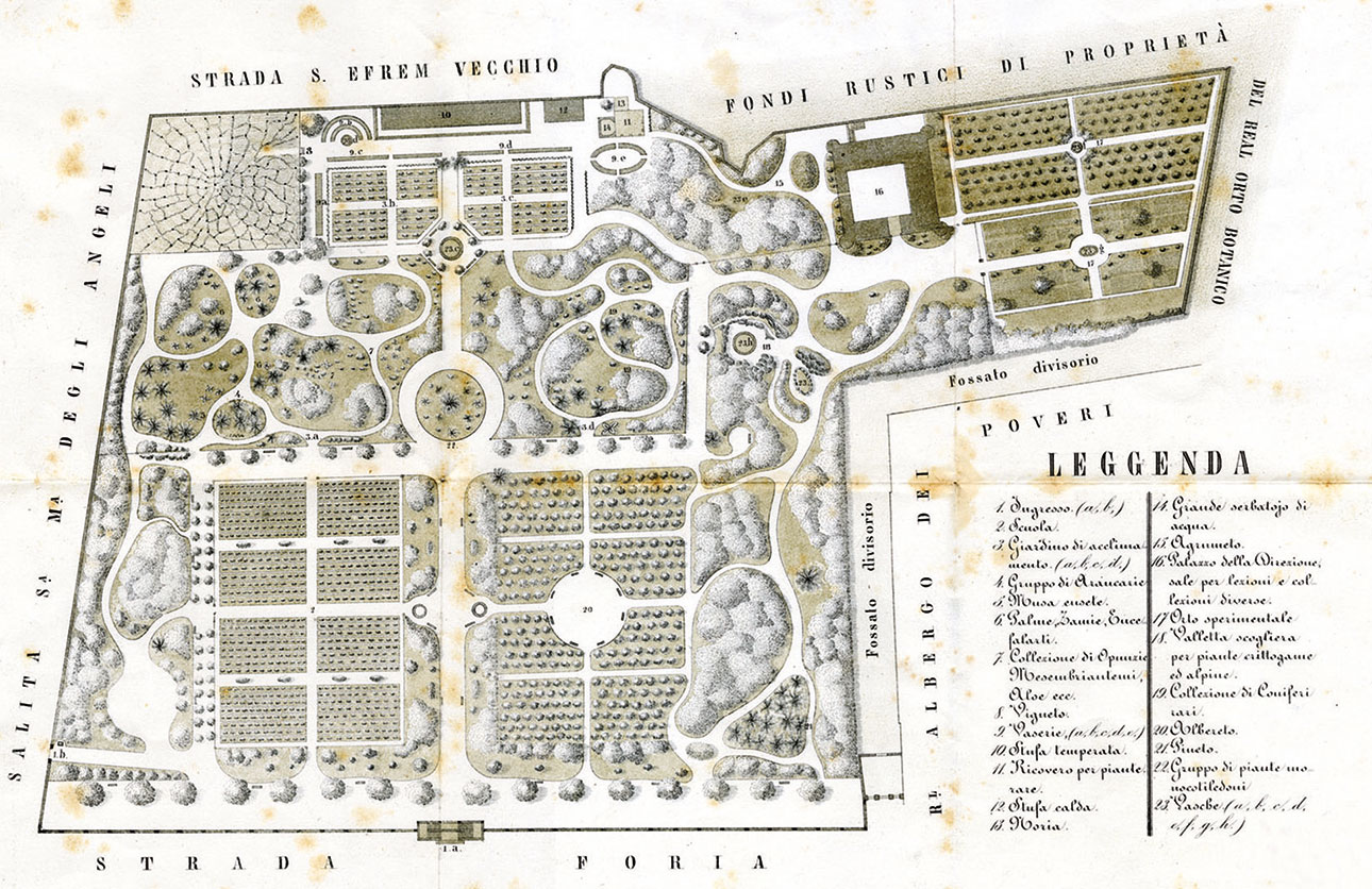 Storia approfondimento Mappa antica Orto