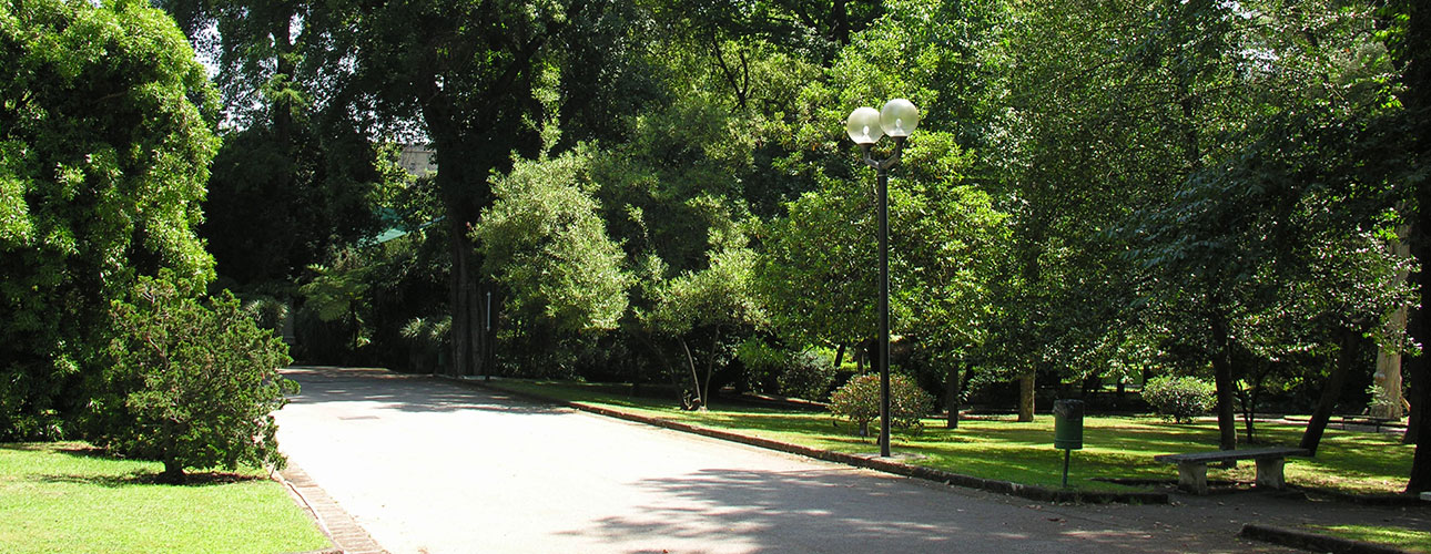 A glimpse of the arboretum from the outside.