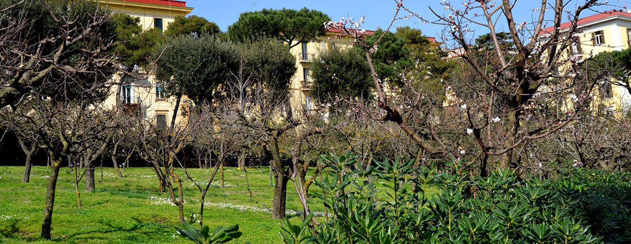 Una vista del frutteto dell’Orto Botanico di Napoli all’inizio della primavera.