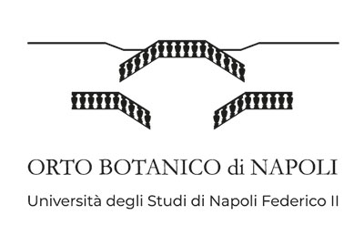 Nuovo logo